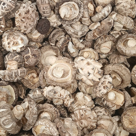 Shiitake mushroom (Lentinula edodes)